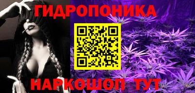 гидра Гусь-Хрустальный