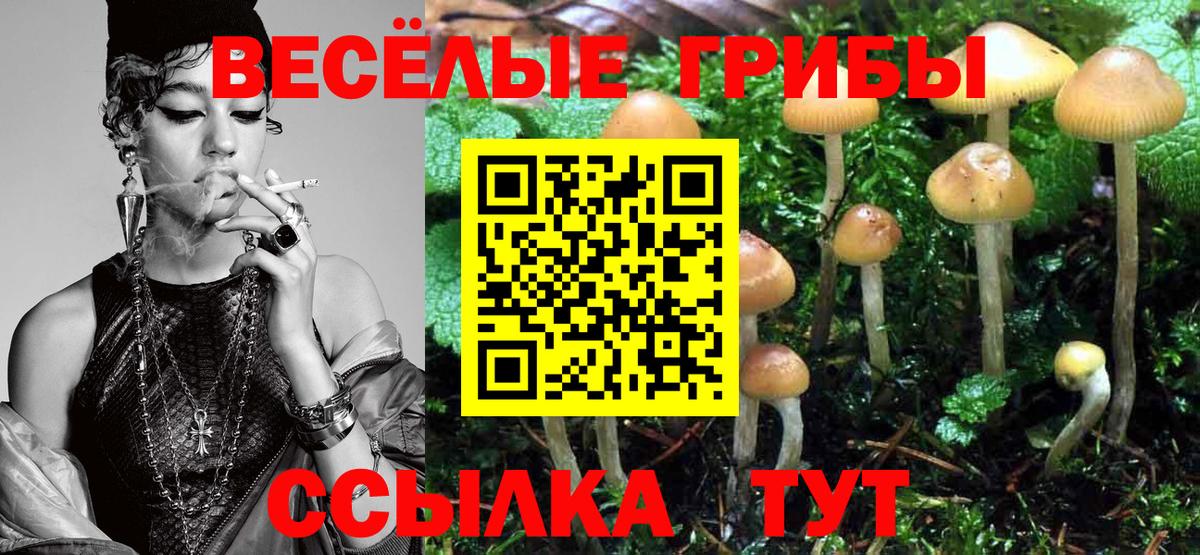 Галлюциногенные грибы Magic Shrooms Мытищи