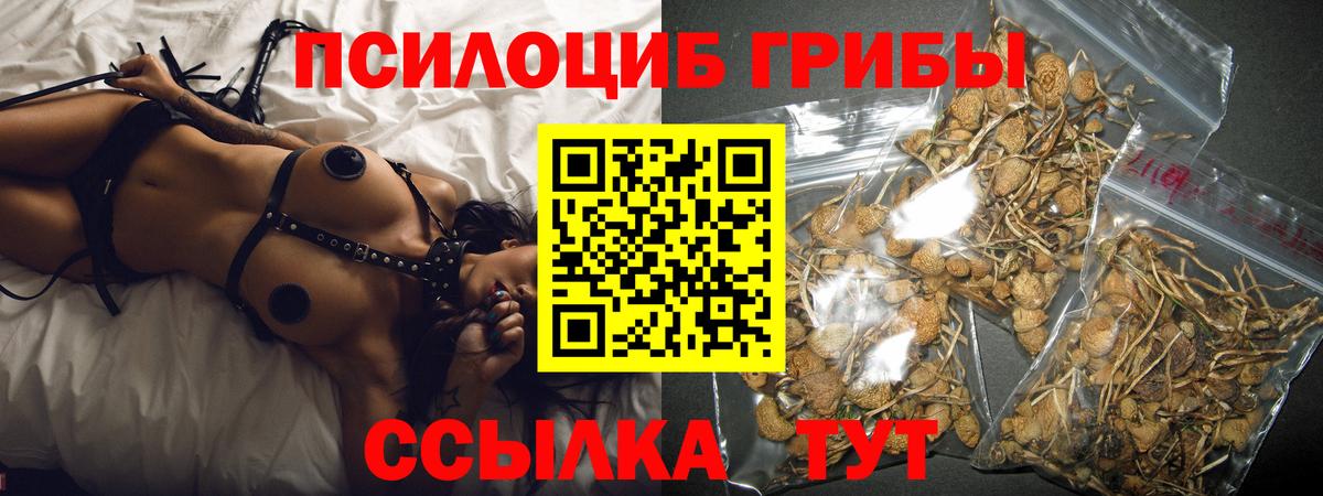 купить  сайты  Вход с VPN  Мытищи  Псилоцибиновые грибы ЛСД  Псилоцибиновые грибы Psilocybe 